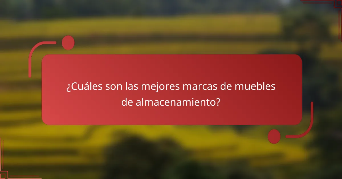 ¿Cuáles son las mejores marcas de muebles de almacenamiento?