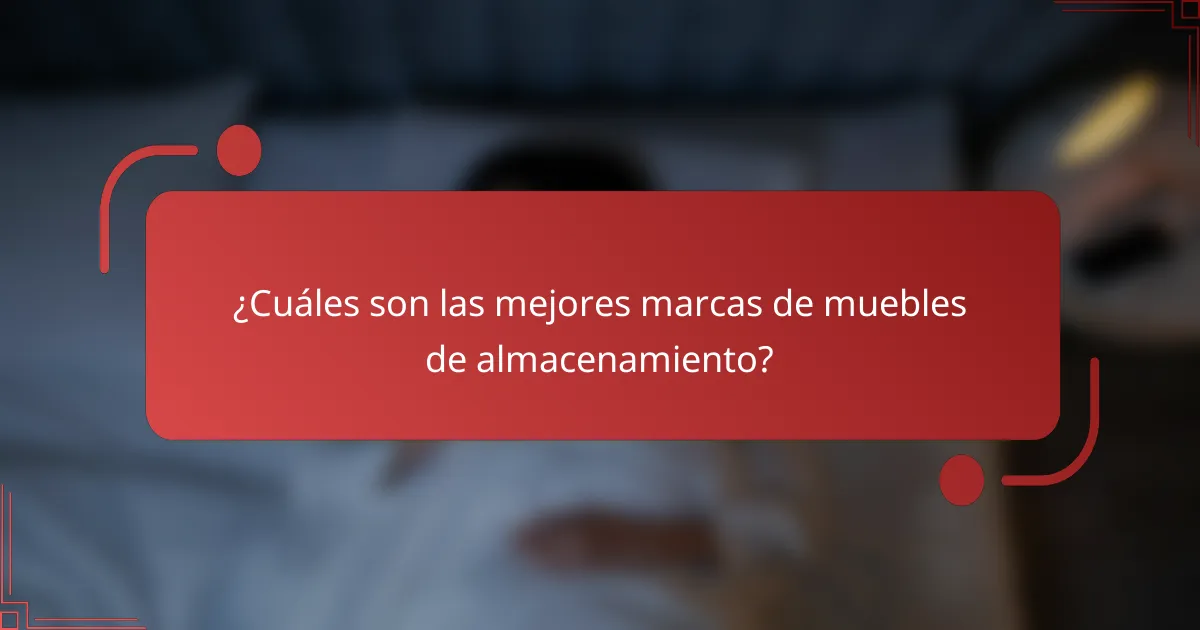 ¿Cuáles son las mejores marcas de muebles de almacenamiento?