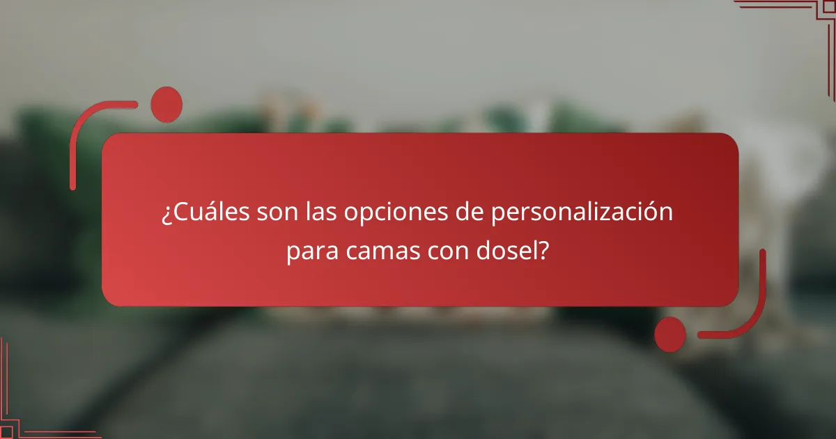 ¿Cuáles son las opciones de personalización para camas con dosel?