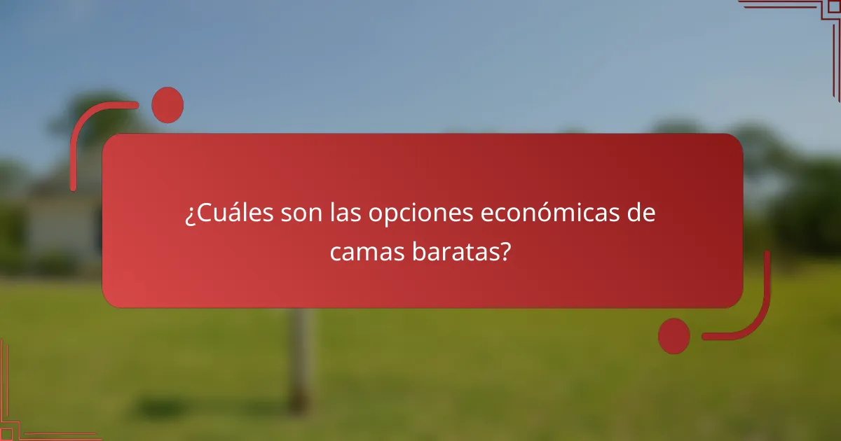 ¿Cuáles son las opciones económicas de camas baratas?