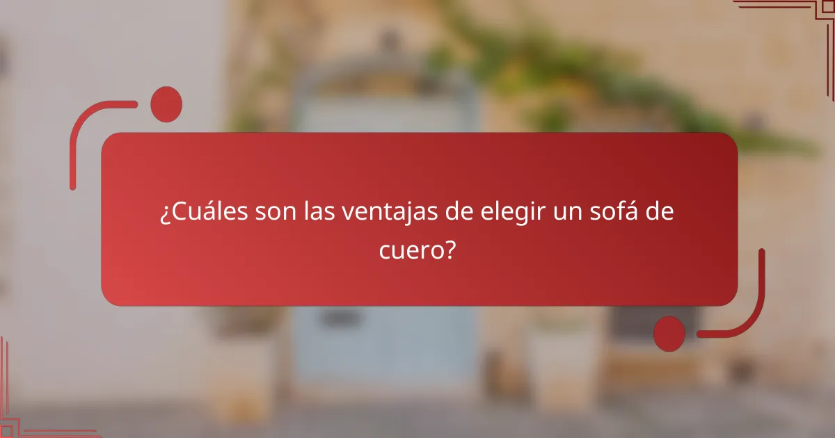 ¿Cuáles son las ventajas de elegir un sofá de cuero?