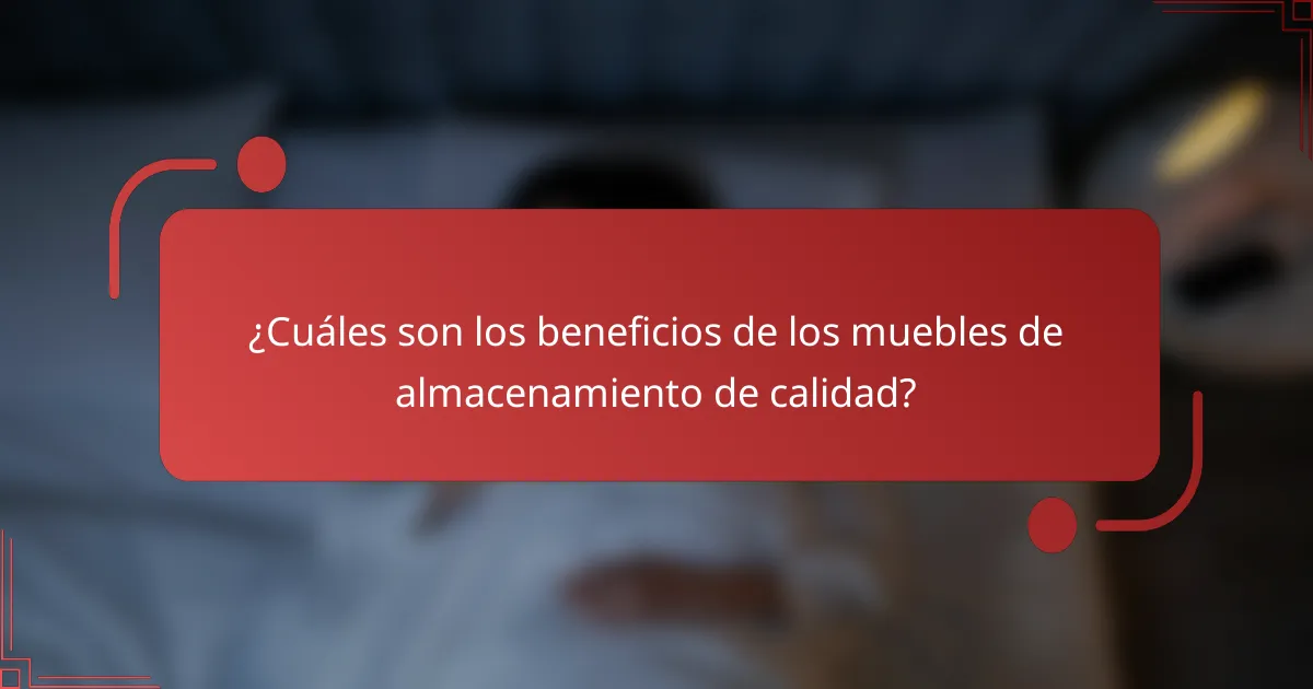 ¿Cuáles son los beneficios de los muebles de almacenamiento de calidad?