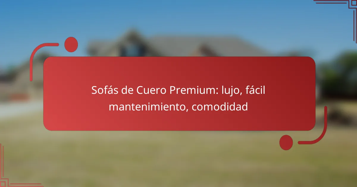Sofás de Cuero Premium: lujo, fácil mantenimiento, comodidad