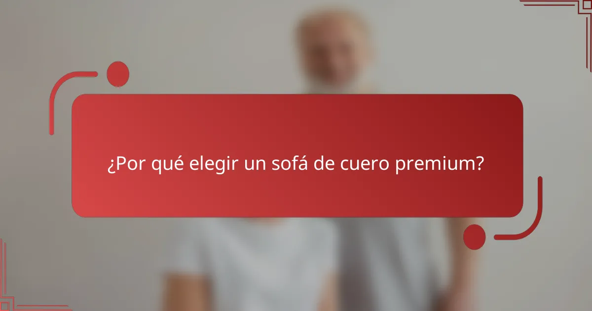 ¿Por qué elegir un sofá de cuero premium?