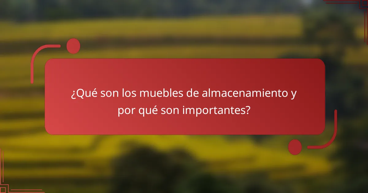 ¿Qué son los muebles de almacenamiento y por qué son importantes?
