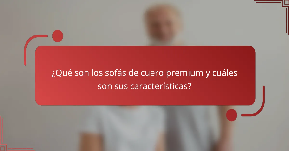 ¿Qué son los sofás de cuero premium y cuáles son sus características?